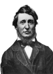 Henry David Thoreau Quotations | Information Technology | ITnearU.nz