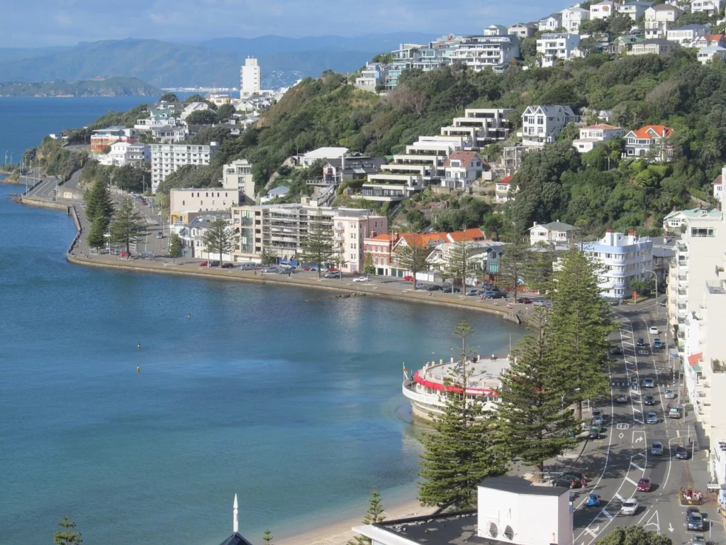 IT NEAR U | Computer Support, IT Support and Services in Oriental Bay, Wellington