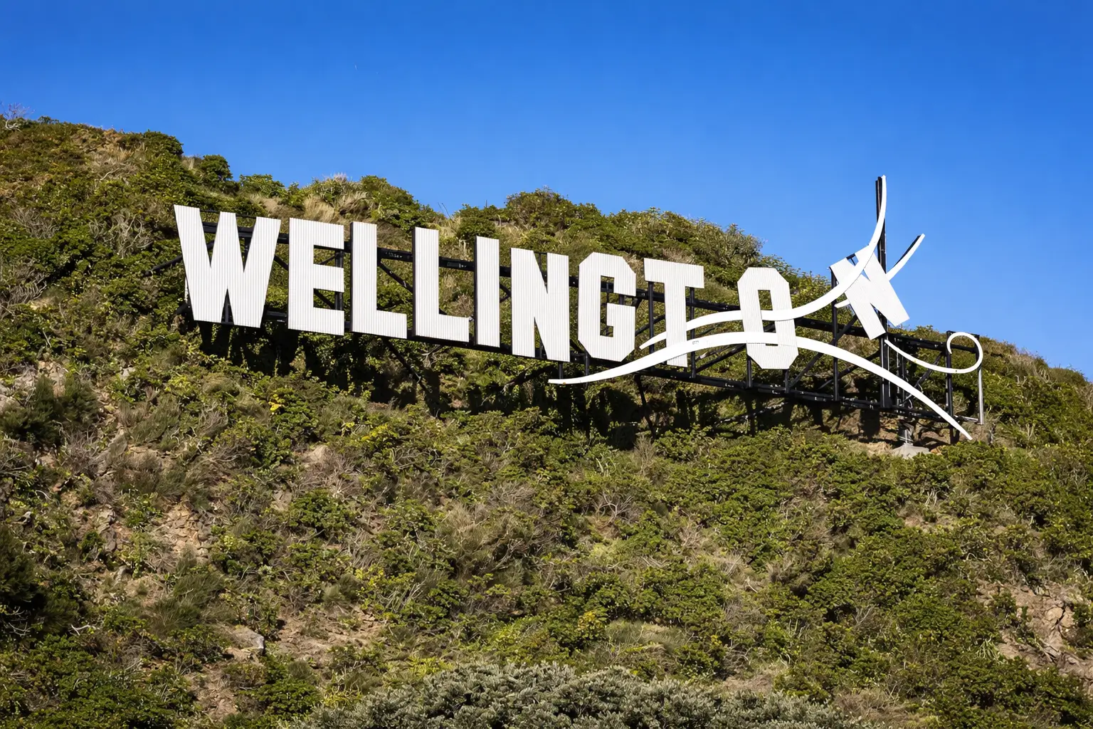 IT support in Wellington for home and business
